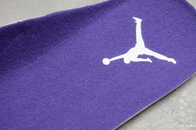 Court Purple 4 Jordan Air CT8527-115 0610